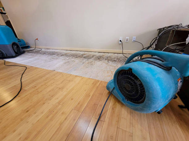 Professional Water Extraction technician working in Darlington, PA